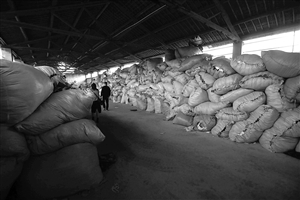 衣再生公益服务中心,不符合捐赠规定的衣服有三四十吨,储存在仓库无法处理